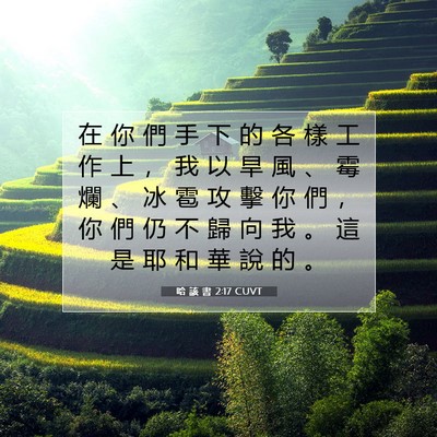 Picture 07 - 哈 該 書 2:17 CUVT - 在 你 們 手 下 的 各 樣 工 作 上 ， - Bible Verse Picture
