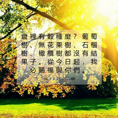 Picture 07 - 哈 該 書 2:19 CUVT - 倉 裡 有 穀 種 麼 ？ 葡 萄 樹 、 無 - Bible Verse Picture