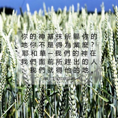 Picture 07 - 士 師 記 11:24 CUVT - 你 的 神 基 抹 所 賜 你 的 地 你 不 - Bible Verse Picture