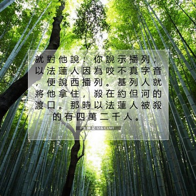 Picture 07 - 士 師 記 12:6 CUVT - 就 對 他 說 ： 你 說 示 播 列 ； 以 - Bible Verse Picture