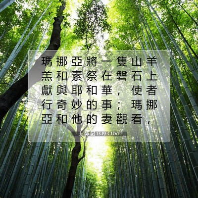 Picture 07 - 士 師 記 13:19 CUVT - 瑪 挪 亞 將 一 隻 山 羊 羔 和 素 祭 - Bible Verse Picture