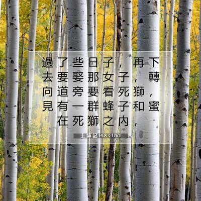 Picture 07 - 士 師 記 14:8 CUVT - 過 了 些 日 子 ， 再 下 去 要 娶 那 - Bible Verse Picture