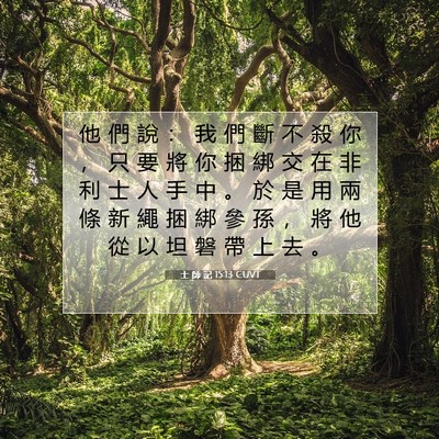 Picture 07 - 士 師 記 15:13 CUVT - 他 們 說 ： 我 們 斷 不 殺 你 ， 只 - Bible Verse Picture