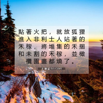 Picture 07 - 士 師 記 15:5 CUVT - 點 著 火 把 ， 就 放 狐 狸 進 入 非 - Bible Verse Picture