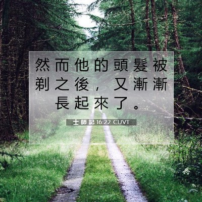 Picture 07 - 士 師 記 16:22 CUVT - 然 而 他 的 頭 髮 被 剃 之 後 ， 又 - Bible Verse Picture