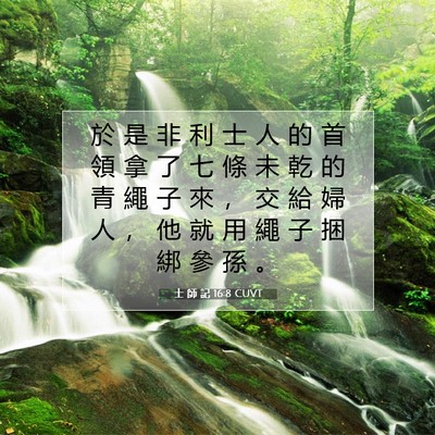 Picture 07 - 士 師 記 16:8 CUVT - 於 是 非 利 士 人 的 首 領 拿 了 七 - Bible Verse Picture