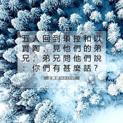 Picture 07 - 士 師 記 18:8 CUVT - 五 人 回 到 瑣 拉 和 以 實 陶 ， 見 - Bible Verse Picture