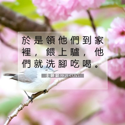 Picture 07 - 士 師 記 19:21 CUVT - 於 是 領 他 們 到 家 裡 ， 餵 上 驢 - Bible Verse Picture
