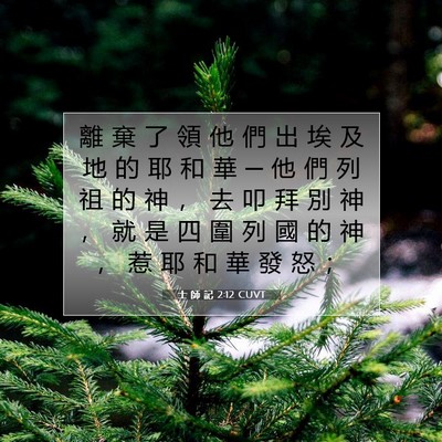 Picture 07 - 士 師 記 2:12 CUVT - 離 棄 了 領 他 們 出 埃 及 地 的 耶 - Bible Verse Picture