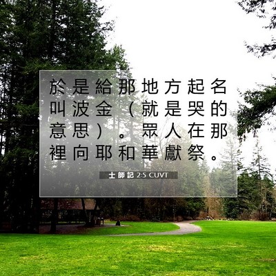 Picture 07 - 士 師 記 2:5 CUVT - 於 是 給 那 地 方 起 名 叫 波 金 （ - Bible Verse Picture