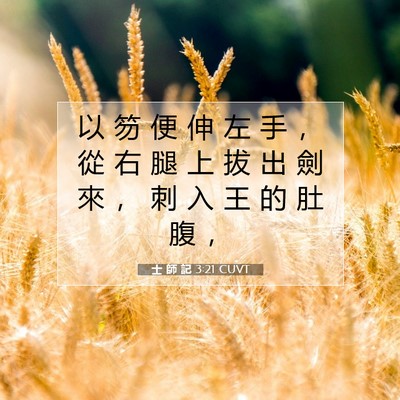 Picture 07 - 士 師 記 3:21 CUVT - 以 笏 便 伸 左 手 ， 從 右 腿 上 拔 - Bible Verse Picture