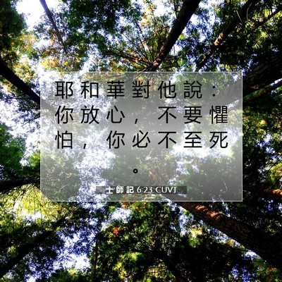 Picture 07 - 士 師 記 6:23 CUVT - 耶 和 華 對 他 說 ： 你 放 心 ， 不 - Bible Verse Picture