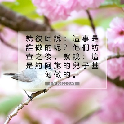 Picture 07 - 士 師 記 6:29 CUVT - 就 彼 此 說 ： 這 事 是 誰 做 的 呢 - Bible Verse Picture