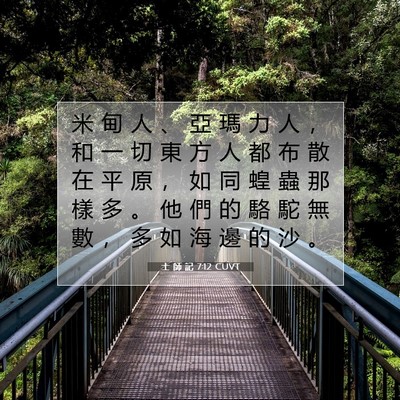 Picture 07 - 士 師 記 7:12 CUVT - 米 甸 人 、 亞 瑪 力 人 ， 和 一 切 - Bible Verse Picture