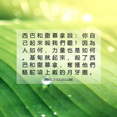 Picture 07 - 士 師 記 8:21 CUVT - 西 巴 和 撒 慕 拿 說 ： 你 自 己 起 - Bible Verse Picture