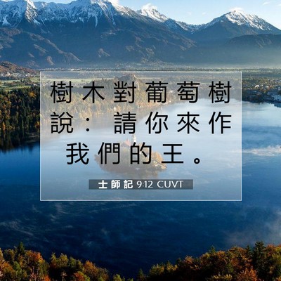 Picture 07 - 士 師 記 9:12 CUVT - 樹 木 對 葡 萄 樹 說 ： 請 你 來 作 - Bible Verse Picture