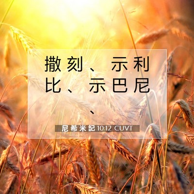 Picture 07 - 尼 希 米 記 10:12 CUVT - 撒 刻 、 示 利 比 、 示 巴 尼 - Bible Verse Picture