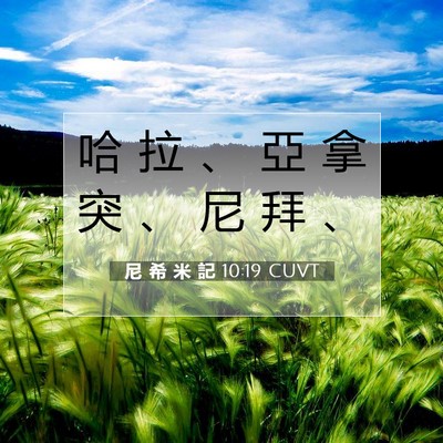Picture 07 - 尼 希 米 記 10:19 CUVT - 哈 拉 、 亞 拿 突 、 尼 拜 - Bible Verse Picture