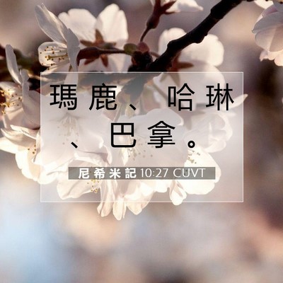 Picture 07 - 尼 希 米 記 10:27 CUVT - 瑪 鹿 、 哈 琳 、 巴 拿 - Bible Verse Picture