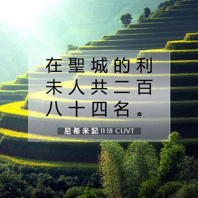 Picture 07 - 尼 希 米 記 11:18 CUVT - 在 聖 城 的 利 未 人 共 二 百 八 十 - Bible Verse Picture