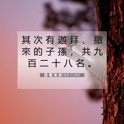 Picture 07 - 尼 希 米 記 11:8 CUVT - 其 次 有 迦 拜 、 撒 來 的 子 孫 ， - Bible Verse Picture