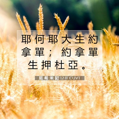 Picture 07 - 尼 希 米 記 12:11 CUVT - 耶 何 耶 大 生 約 拿 單 ； 約 拿 單 - Bible Verse Picture