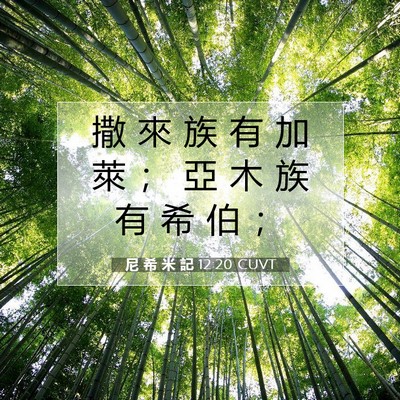 Picture 07 - 尼 希 米 記 12:20 CUVT - 撒 來 族 有 加 萊 ； 亞 木 族 有 希 - Bible Verse Picture