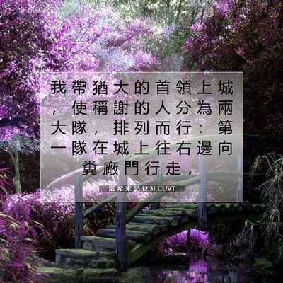 Picture 07 - 尼 希 米 記 12:31 CUVT - 我 帶 猶 大 的 首 領 上 城 ， 使 稱 - Bible Verse Picture