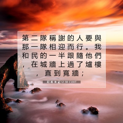 Picture 07 - 尼 希 米 記 12:38 CUVT - 第 二 隊 稱 謝 的 人 要 與 那 一 隊 - Bible Verse Picture