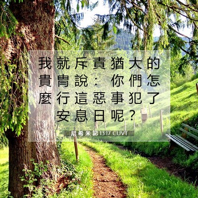 Picture 07 - 尼 希 米 記 13:17 CUVT - 我 就 斥 責 猶 大 的 貴 冑 說 ： 你 - Bible Verse Picture