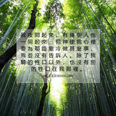 Picture 07 - 尼 希 米 記 2:12 CUVT - 我 夜 間 起 來 ， 有 幾 個 人 也 一 - Bible Verse Picture
