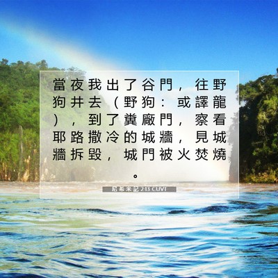 Picture 07 - 尼 希 米 記 2:13 CUVT - 當 夜 我 出 了 谷 門 ， 往 野 狗 井 - Bible Verse Picture