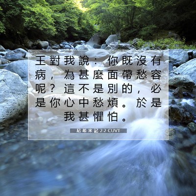 Picture 07 - 尼 希 米 記 2:2 CUVT - 王 對 我 說 ： 你 既 沒 有 病 ， 為 - Bible Verse Picture