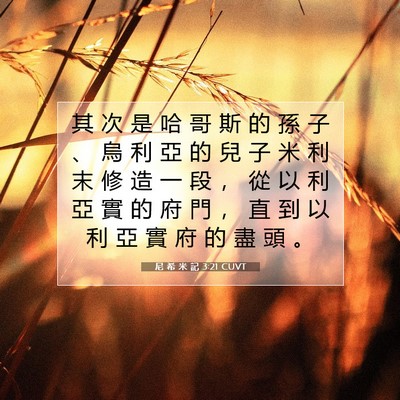 Picture 07 - 尼 希 米 記 3:21 CUVT - 其 次 是 哈 哥 斯 的 孫 子 、 烏 利 - Bible Verse Picture