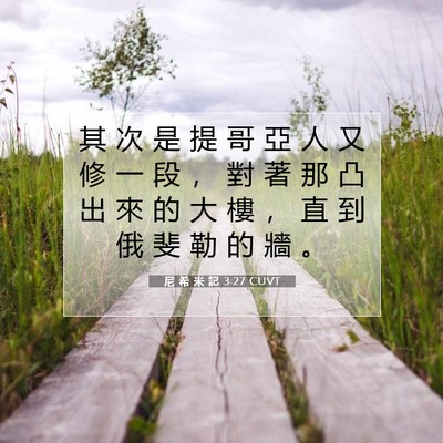 Picture 07 - 尼 希 米 記 3:27 CUVT - 其 次 是 提 哥 亞 人 又 修 一 段 ， - Bible Verse Picture