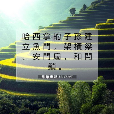Picture 07 - 尼 希 米 記 3:3 CUVT - 哈 西 拿 的 子 孫 建 立 魚 門 ， 架 - Bible Verse Picture