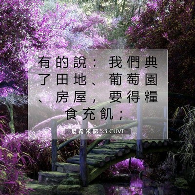 Picture 07 - 尼 希 米 記 5:3 CUVT - 有 的 說 ： 我 們 典 了 田 地 、 葡 - Bible Verse Picture