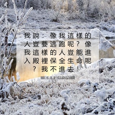 Picture 07 - 尼 希 米 記 6:11 CUVT - 我 說 ： 像 我 這 樣 的 人 豈 要 逃 - Bible Verse Picture