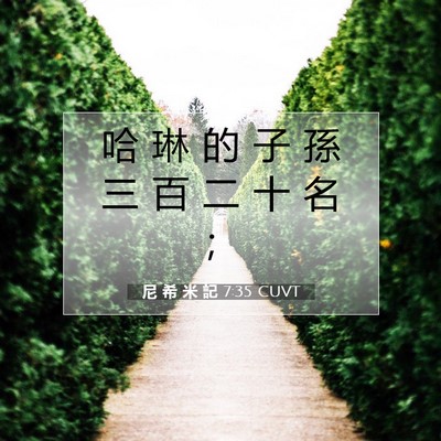 Picture 07 - 尼 希 米 記 7:35 CUVT - 哈 琳 的 子 孫 三 百 二 十 名 - Bible Verse Picture