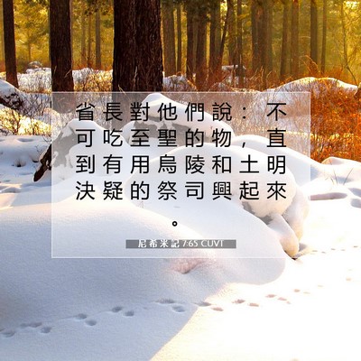 Picture 07 - 尼 希 米 記 7:65 CUVT - 省 長 對 他 們 說 ： 不 可 吃 至 聖 - Bible Verse Picture