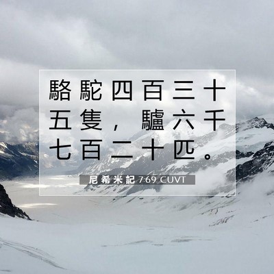 Picture 07 - 尼 希 米 記 7:69 CUVT - 駱 駝 四 百 三 十 五 隻 ， 驢 六 千 - Bible Verse Picture