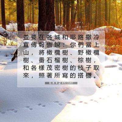 Picture 07 - 尼 希 米 記 8:15 CUVT - 並 要 在 各 城 和 耶 路 撒 冷 宣 傳 - Bible Verse Picture