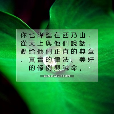 Picture 07 - 尼 希 米 記 9:13 CUVT - 你 也 降 臨 在 西 乃 山 ， 從 天 上 - Bible Verse Picture