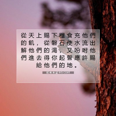 Picture 07 - 尼 希 米 記 9:15 CUVT - 從 天 上 賜 下 糧 食 充 他 們 的 飢 - Bible Verse Picture
