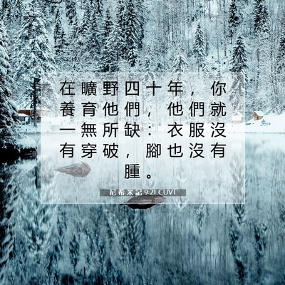 Picture 07 - 尼 希 米 記 9:21 CUVT - 在 曠 野 四 十 年 ， 你 養 育 他 們 - Bible Verse Picture