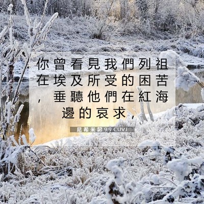 Picture 07 - 尼 希 米 記 9:9 CUVT - 你 曾 看 見 我 們 列 祖 在 埃 及 所 - Bible Verse Picture