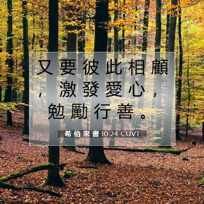 Picture 07 - 希 伯 來 書 10:24 CUVT - 又 要 彼 此 相 顧 ， 激 發 愛 心 ， - Bible Verse Picture