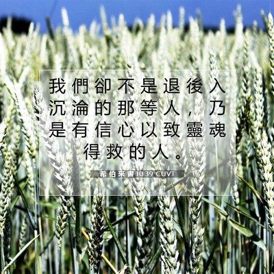 Picture 07 - 希 伯 來 書 10:39 CUVT - 我 們 卻 不 是 退 後 入 沉 淪 的 那 - Bible Verse Picture