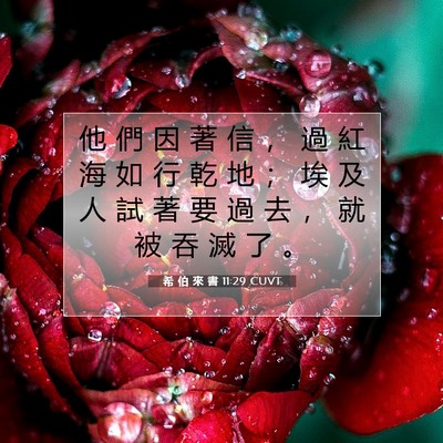 Picture 07 - 希 伯 來 書 11:29 CUVT - 他 們 因 著 信 ， 過 紅 海 如 行 乾 - Bible Verse Picture