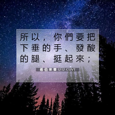 Picture 07 - 希 伯 來 書 12:12 CUVT - 所 以 ， 你 們 要 把 下 垂 的 手 、 - Bible Verse Picture